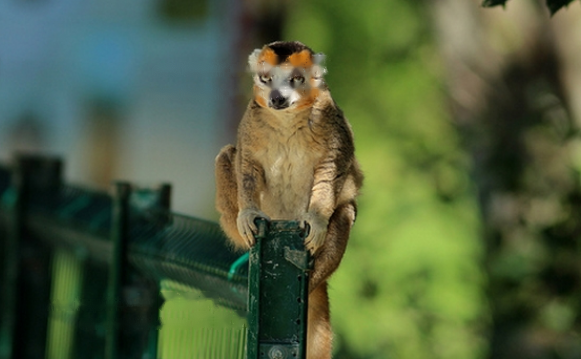 Characteristics Characteristics