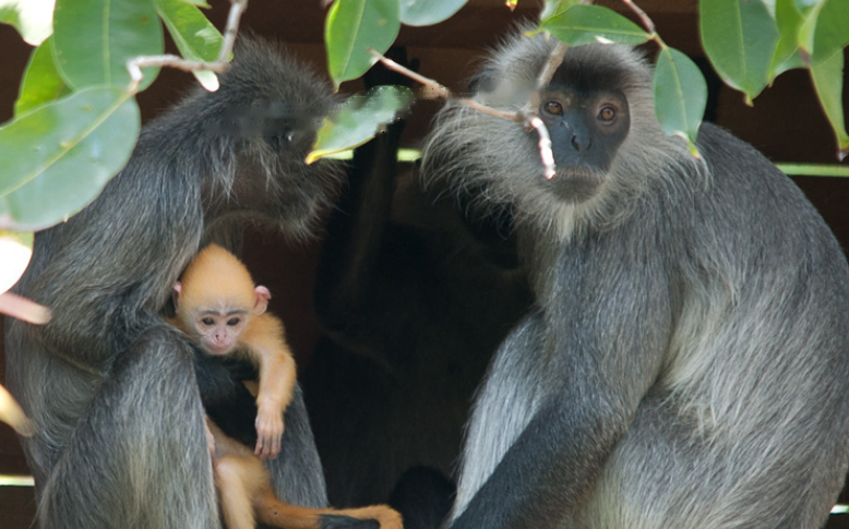 Characteristics Characteristics