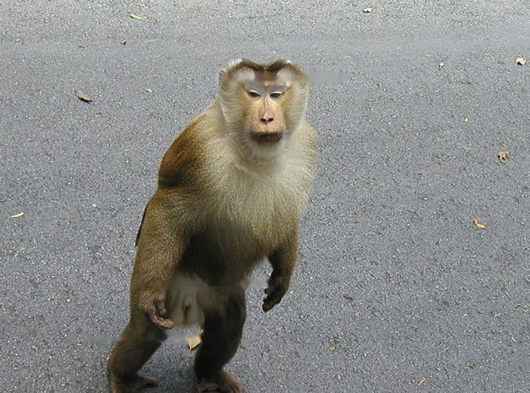 Characteristics Characteristics