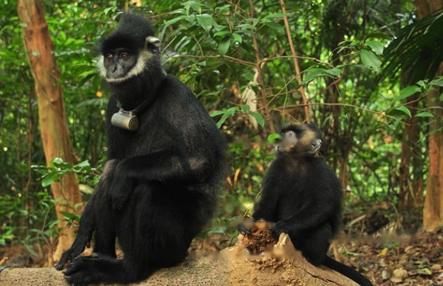 Characteristics Characteristics