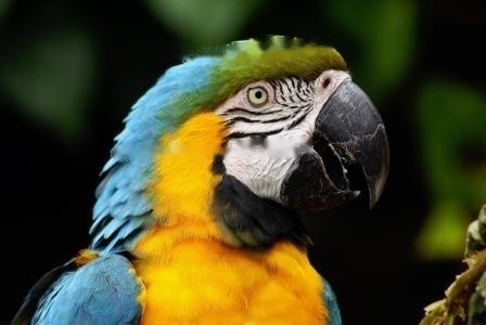 Characteristics Characteristics