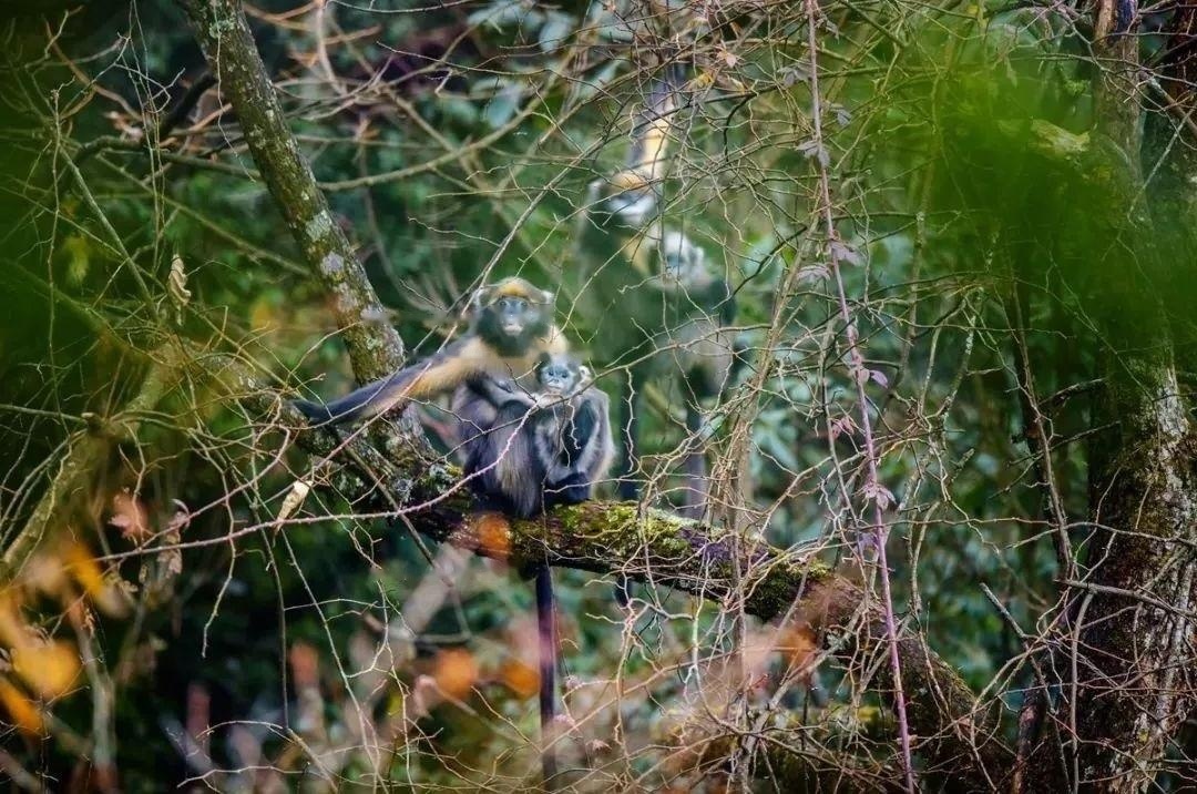 Characteristics Characteristics