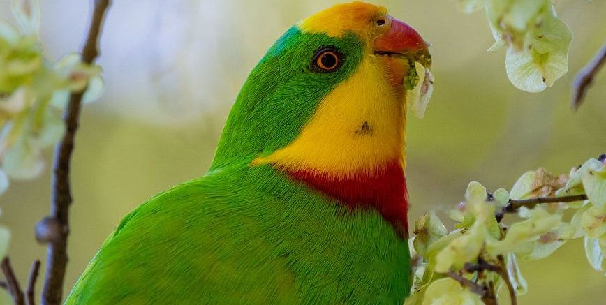 Characteristics Characteristics