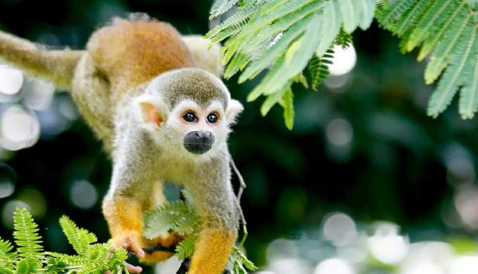 Characteristics Characteristics