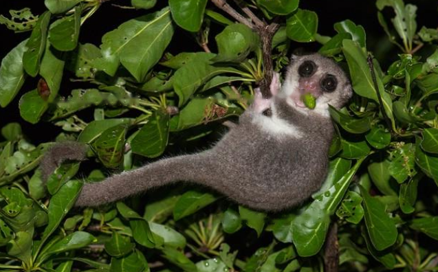 Characteristics Characteristics