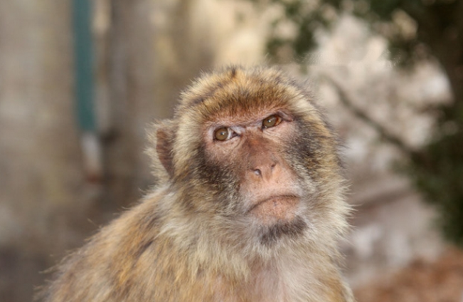 Characteristics Characteristics