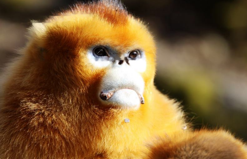 Characteristics Characteristics