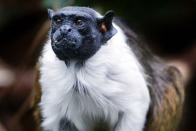 Characteristics Characteristics