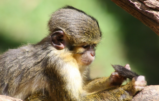 Characteristics Characteristics