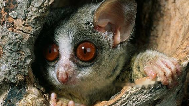 Characteristics Characteristics