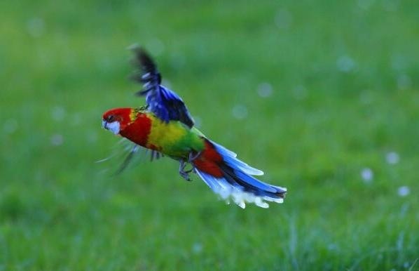 Characteristics Characteristics