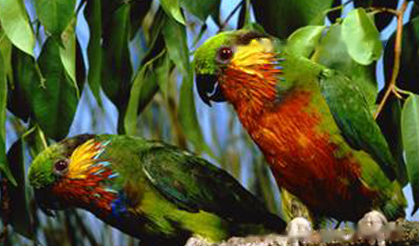 Characteristics Characteristics