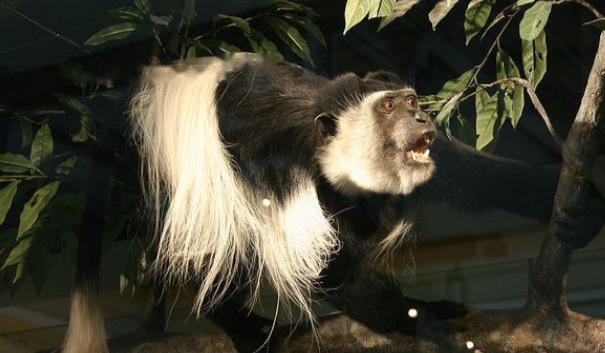 Characteristics Characteristics