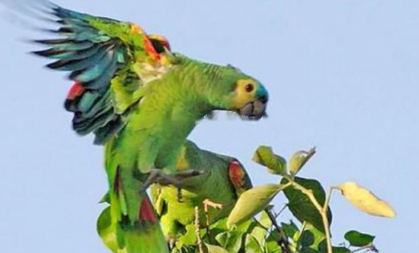 Characteristics Characteristics