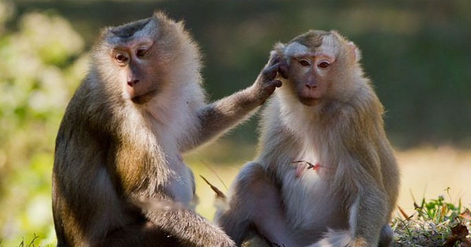 Characteristics Characteristics