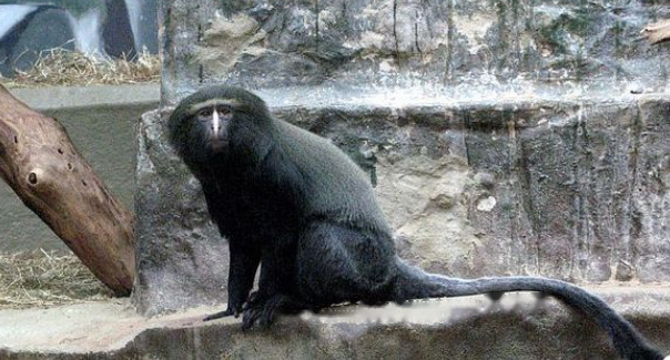 Characteristics Characteristics