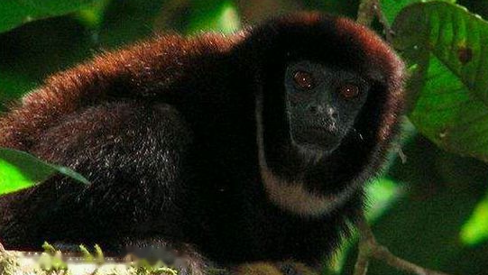 Characteristics Characteristics