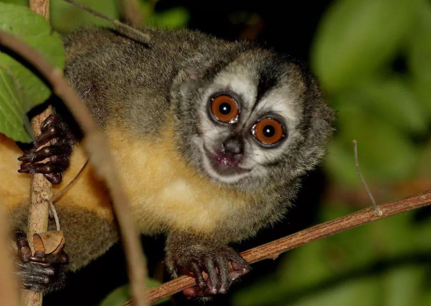 Characteristics Characteristics