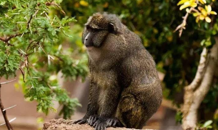 Characteristics Characteristics