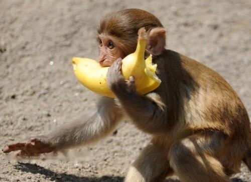 Characteristics Characteristics