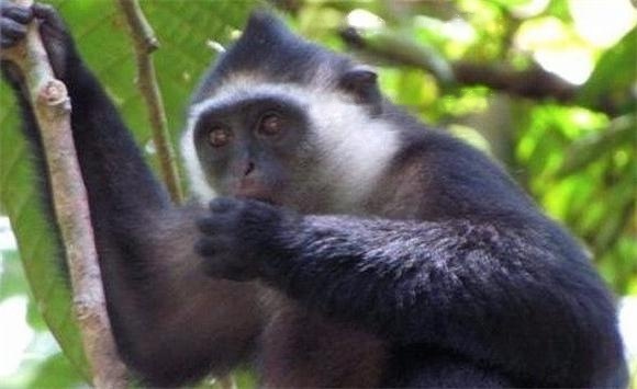 Characteristics Characteristics