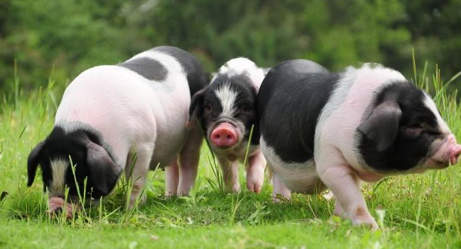 Bringing Cultivation