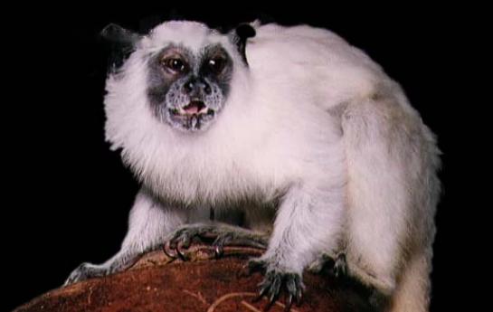 Characteristics Characteristics