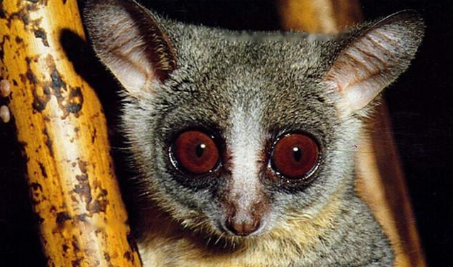 Characteristics Characteristics