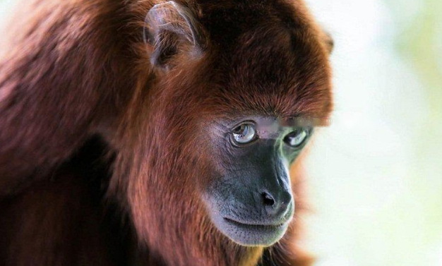 Characteristics Characteristics