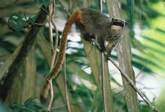 Characteristics Characteristics