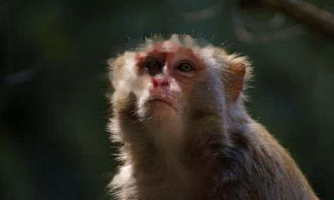 Characteristics Characteristics