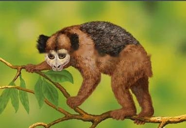 Characteristics Characteristics