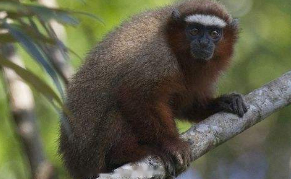 Characteristics Characteristics