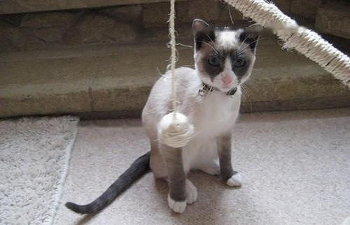 What Characteristics