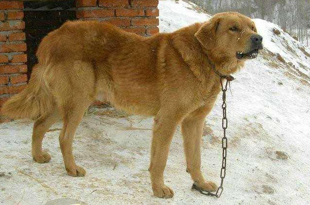 1653361530157734.png be9698502ca94d938b82fae6f4a5054e.png