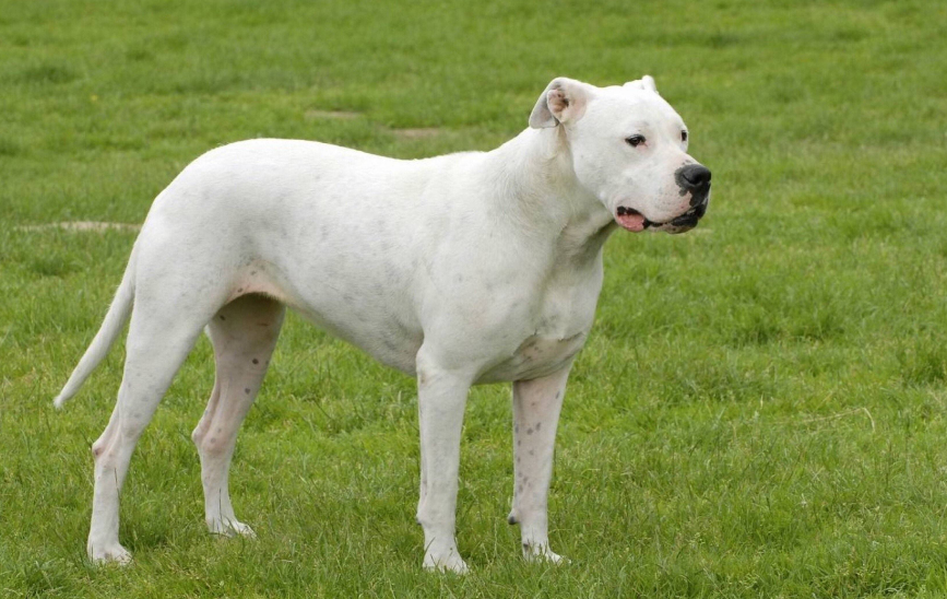 1653361553566990.png 8bbe274d6224461baf817b67115ce499.png