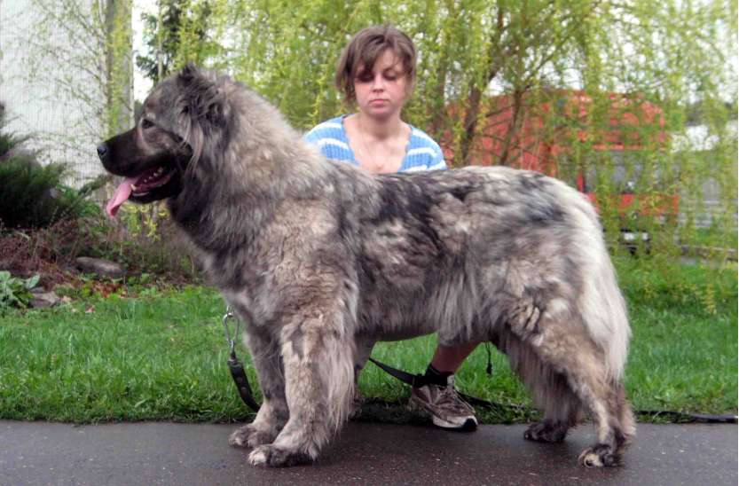 1653361590184458.png 6887640f9cb54535baa0c48d6066b936.png